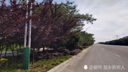 经典语录：天雷和大地之火的开始，可能等不及结束