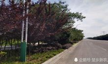 经典语录：天雷勾动地火的开头，未必等得到长相厮守的结局