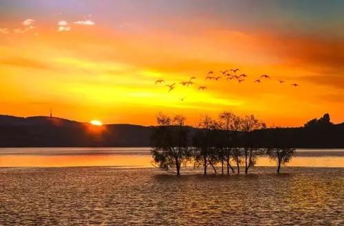 只有那些遥远的人才能期待顺利航行