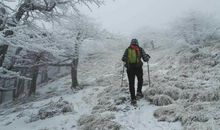 经典语录：每个人都是孤独的行者，在行走的过程中慢慢变得坚强