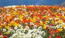 你对待弱者的态度，就是你的教养