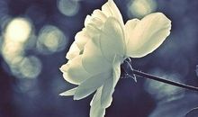 伤痛，是最好的成长