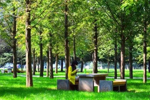 鞋子接触的地面是您真正走过的路