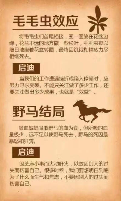 十项黄金法则，摆脱“贫穷忙碌”的生活