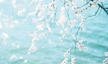 考上大学开心的句子 形容考上大学的心情