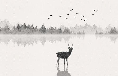 那些有能力的人不会出现