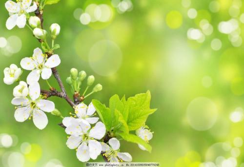 快乐的结束日句子