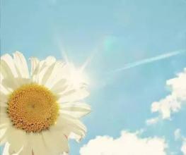 情商高的人不讲四件事