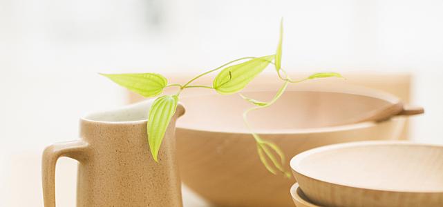 关于在水上乐园玩乐的句子