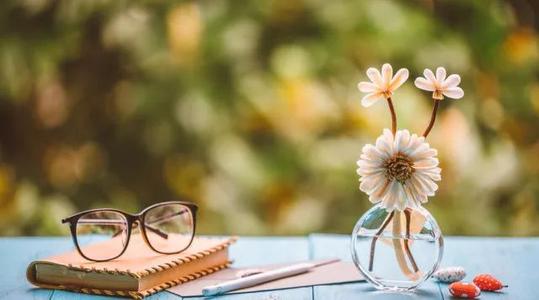 不要让你的孩子成为白眼狼