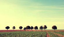 为什么中国孩子最尊重的人不是父母？