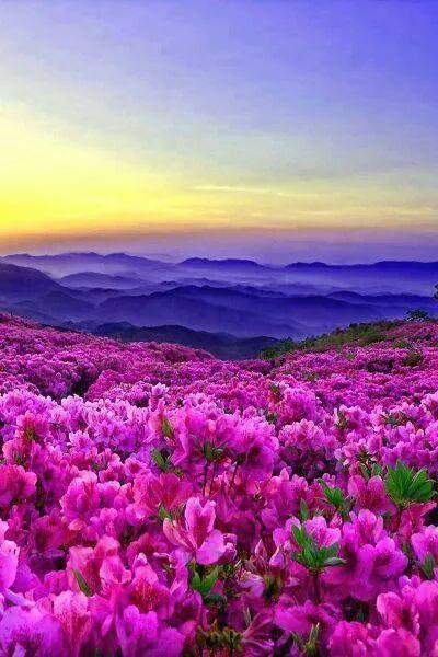 让早晨从早晨开始