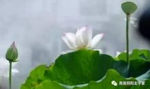 话不可随口，事不可随心，人不可随意