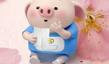 2019又逗又搞笑的句子：个个幽默，句句俏皮！