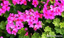 让人潸然泪下的句子，越看越揪心