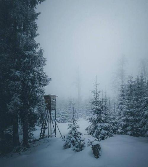 总有一个句子让你哭泣!