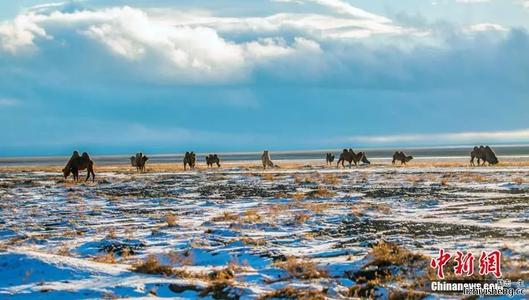 非常讽刺的句子（尖锐）