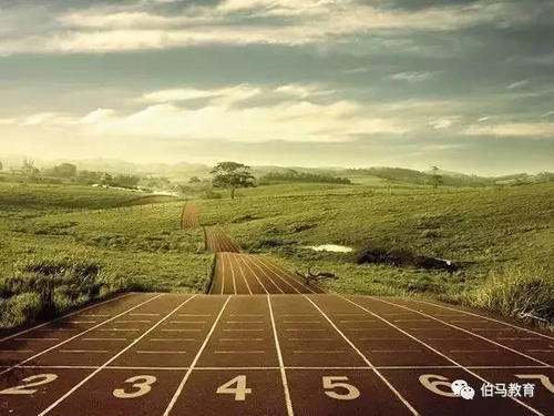 白彦松：谁的成长并不令人兴奋