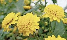 人一晃就老，别自寻烦恼