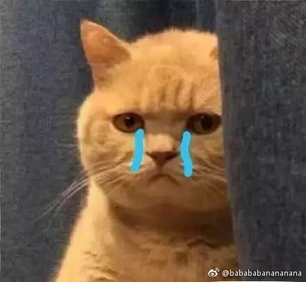 犯错时不要轻易原谅自己