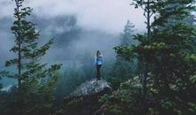 对不起，我还过不起安逸人生