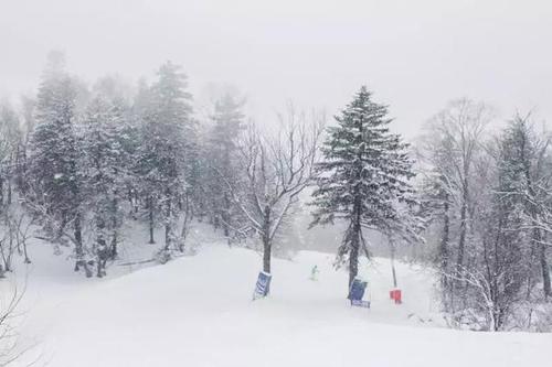 我可以去北京大学，因为我从不放弃自己