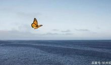 给你的人生一次飞跃的机会