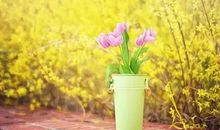 做自己的上帝，上帝才会赐予你所梦想的东西