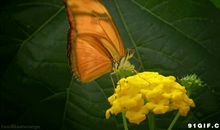 这50句话，值得读100遍