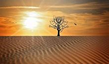 有一种成功叫速度