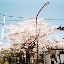 最强烈的时刻在梦中