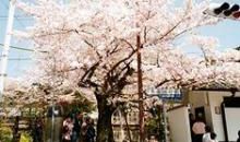 最坚强的时刻在梦里