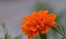 30岁还没成功，以后真的没机会了吗？