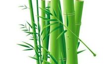 熬过3厘米，才能收获30厘米