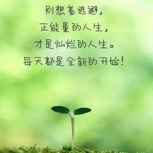 理想是做自己喜欢的事