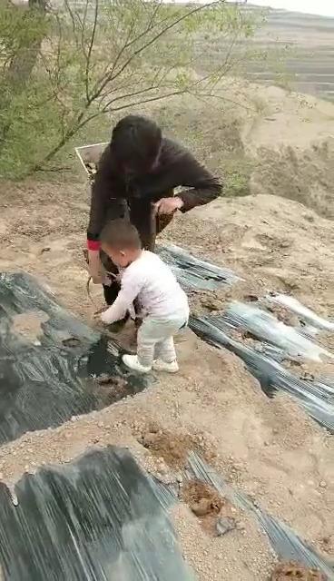 一个真实的故事：贫困家庭的孩子的出路在哪里？