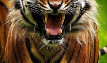 上帝只偏爱奔跑者