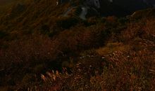 从每个所谓的困境跃上自由的蓝天