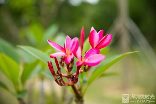 金宝琪：负担能力是一种脾气