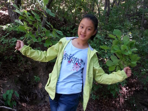 我尝到成功的滋味