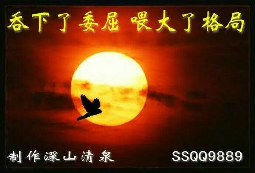 我在上半生买得起，在下半生放任