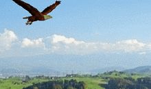 坚持到底就是胜利