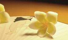 你什么都没有，凭什么要求岁月静好？