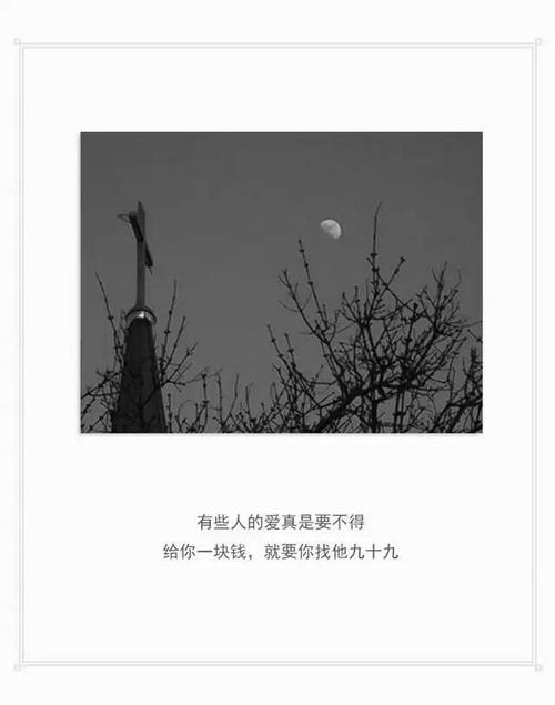 经典语录：您可以在尘埃中爱一个人，但是没人会在尘埃中爱您