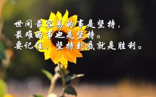 早安信息：只要您变得更好，其他事情自然就会变得更好