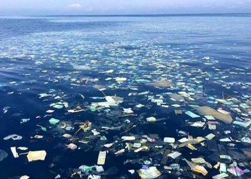 给孩子自由的灵魂