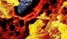 如果生命还只剩几天