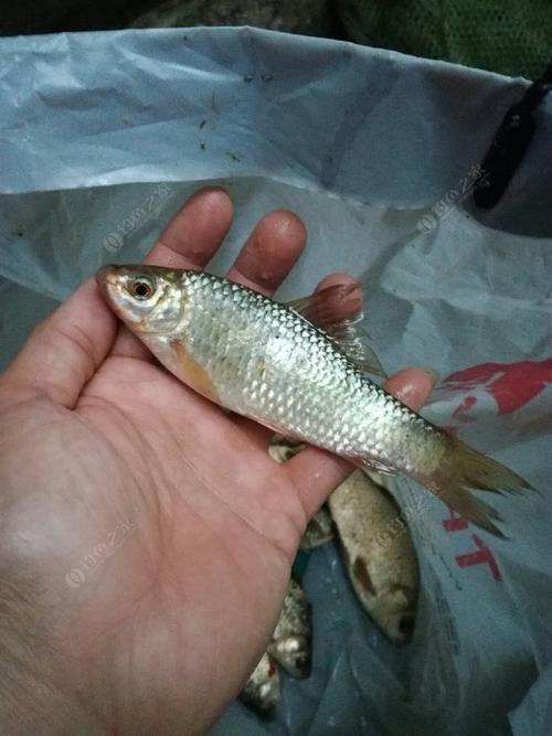 早上5点起床,坚持14年。你的生活会怎样?