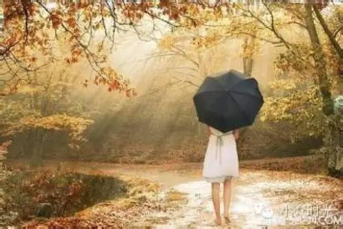 在谈论人生和梦想之前，您必须生存