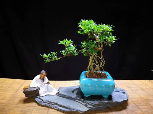 梦想成真，向前迈进